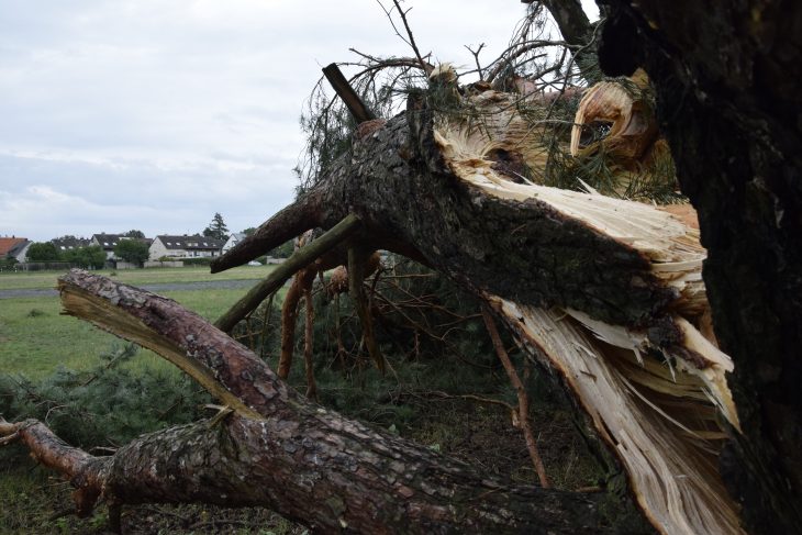 Unwetter verwüstet Landkreis