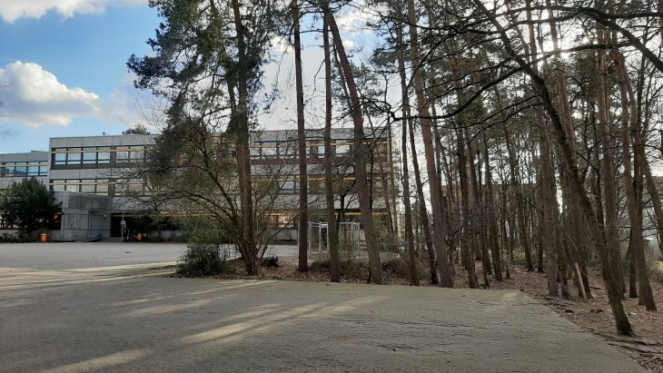 Der Klassentrakt des Gymnasiums muss saniert werden. Für Ausweichklassenzimmer sollten Bäume am Pausenhof gefällt werden. Dazu kommt es nicht.