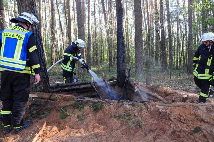 Sorgfältig geschichtete Holzstämme zwischen drei Bäumen waren wohl der Dachstuhl der Grube.
