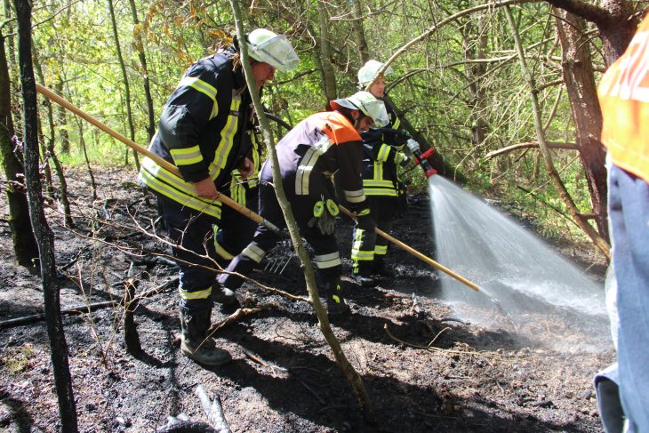 Zum Glück hatte die Feuerwehr den Waldbrand schnell unter Kontrolle.