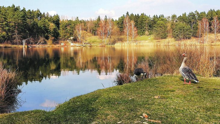 Symbolbild vom Birkensee: Der See ist auch bei Touristen beliebt.
