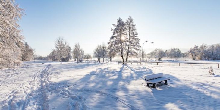 Dieser Winterzauber am Hersbrucker Plärrer von Kai Schmidt bildet den Hintergrund für den Lions-Adventskalender.