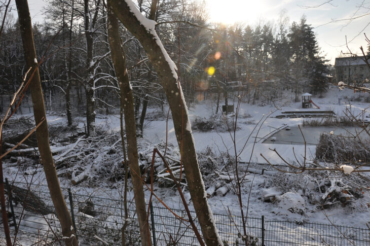 Auch wenn der Schnee es ein wenig versteckt, im Weißenbrunner Naturbad, vor allem im hinteren Bereich, mussten zahlreiche Erlen gefällt werden.