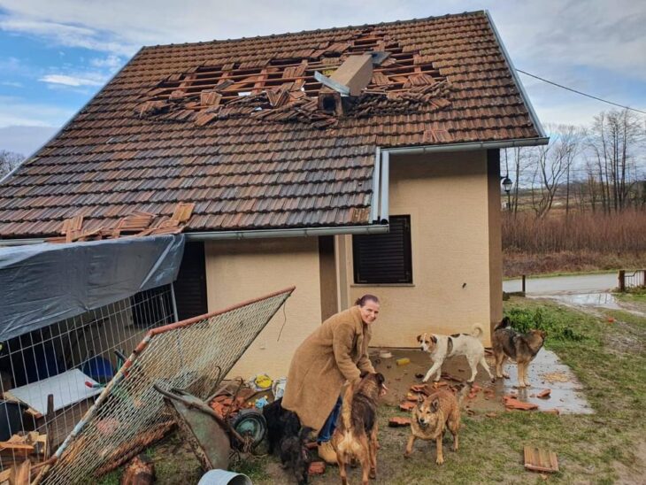 Durch das Erdbeben haben in Kroatien viele Menschen ihr Haus verloren. Ihre Hunde und Katzen haben die Besitzer dort oft zurückgelassen. Diese Tiere sind nun auf Futterspenden angewiesen.