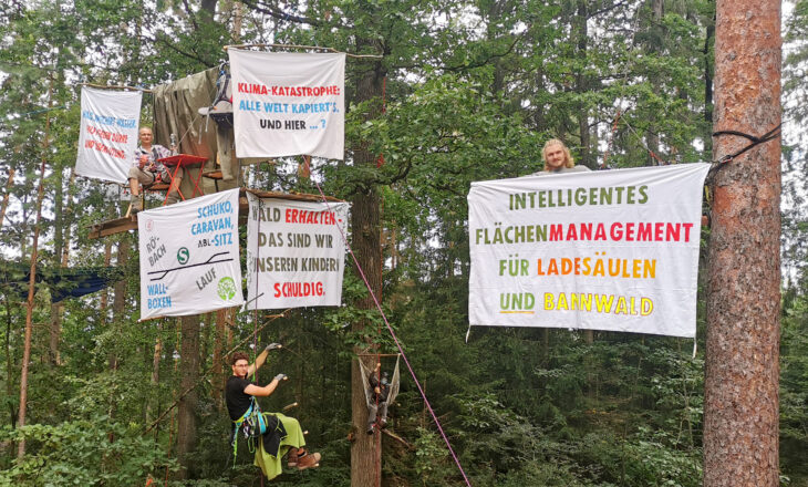 Aktivisten probten am Wochenende die Besetzung des Bannwalds am Letten.