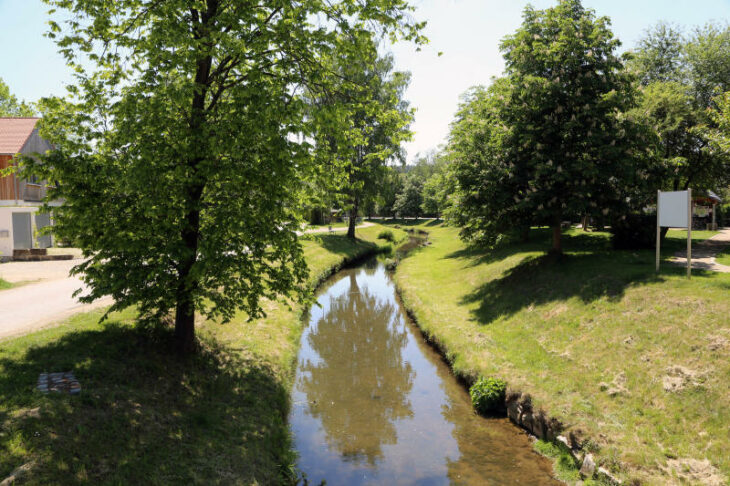 Der Hammerbach stand im Mittelpunkt der Fragen der Bürger, sowohl für mögliches Hochwasser, als auch für die Wasserqualität.