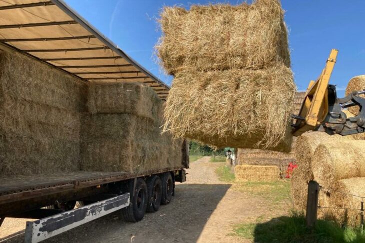 Neben dem ehemaligen Militärflughafen in Gütersloh dienen weitere Höfe in Nordrhein-Westfalen als Verteiler der Heuballen an die dortigen Bauern. Hier wird das Heu aus dem Nürnberger Land in Euskirchen bei Bonn abgeladen.