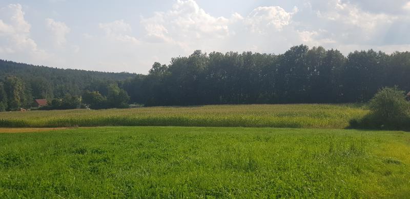 So ist der Stand beim Gewerbegebiet bei Unterkrumbach NLAND