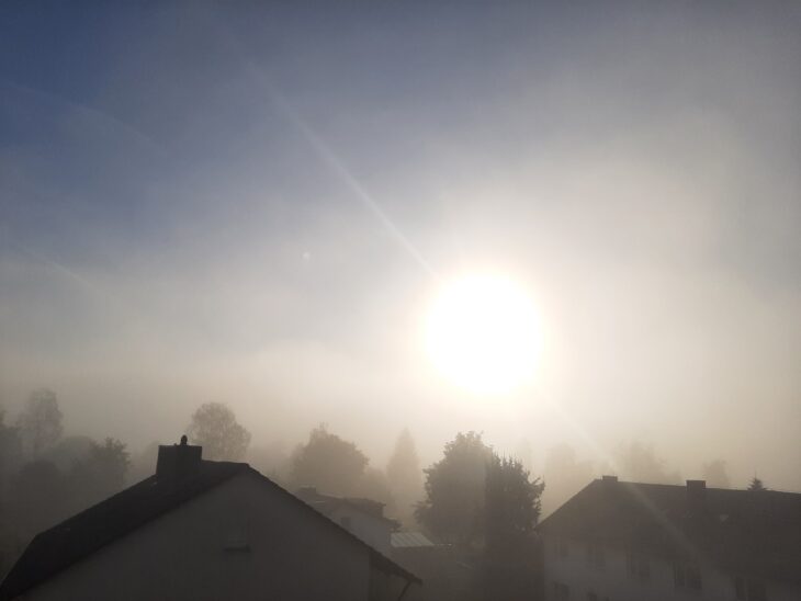 Vor allem wenn die Sonne aufgeht, sind Nebel und Tau schöne Fotomotive. Wir suchen Ihre Eindrücke.