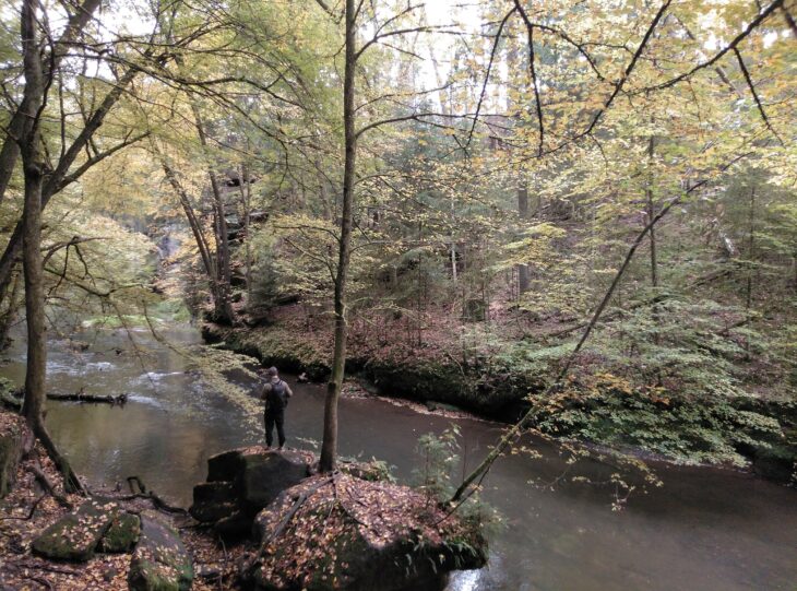 Die Schwarzachklamm bei Schwarzenbruck zieht viele Wandertouristen an.