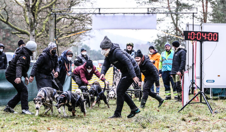 Bahn frei: Die Hunde können kaum erwarten, dass es losgeht. Deshalb sind zu Beginn mehrere Helfer nötig, damit es keine Fehlstarts gibt.