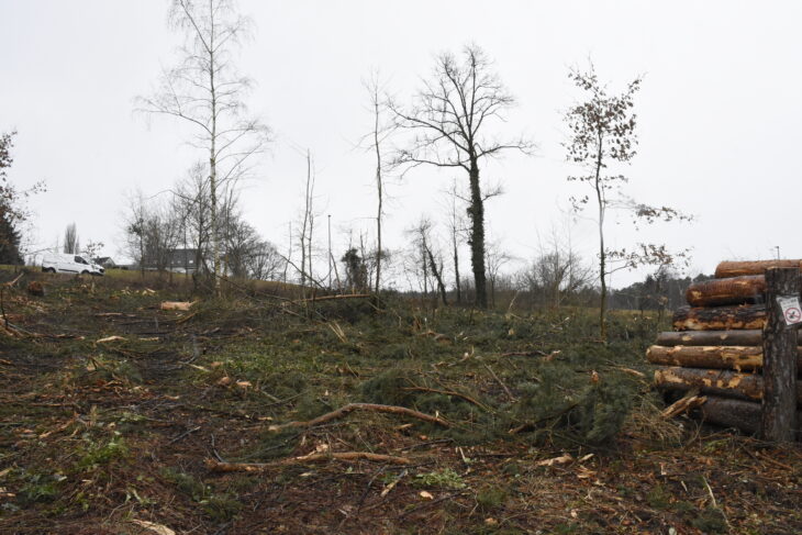 Ein Chaos aus Holzresten liegt nun am Ausgang der Rückersdorfer Laufer Straße gegenüber dem Strengenberg. Vor der Abholzung war die Sicht auf den Hügel verdeckt.