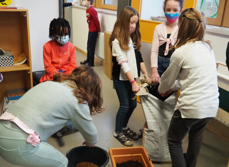 Gemüsezüchten geht auch im Klassenzimmer: Das beweisen die Drittklässler der Röthenbacher Seespitzschule.