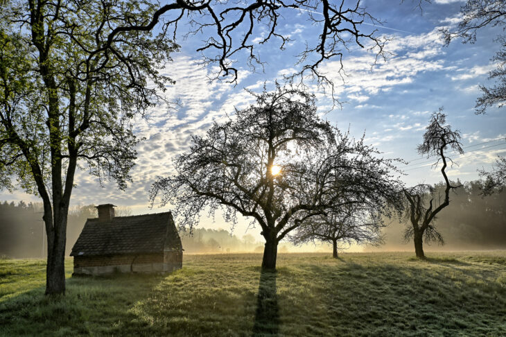 In Weiherhaus, einem Ortsteil von Feucht, wärmt Morgensonne die nassen Wiesen. Auch dort ist der erste Vorgeschmack auf den Frühsommer spürbar.