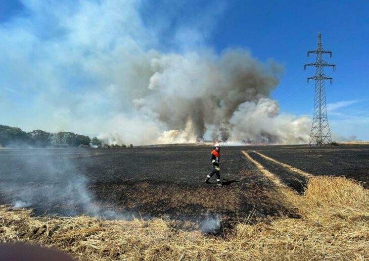 Gut vier Stunden waren zahlreiche Feuerwehrkräfte im Einsatz, um das brennende Feld bei Edelsfeld zu löschen.