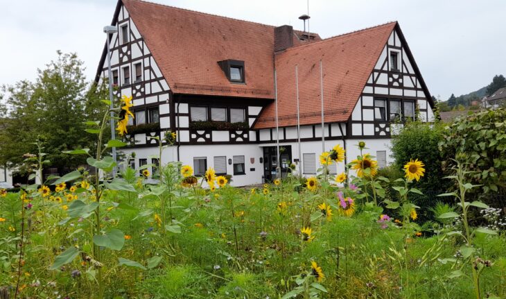 Blick auf das Leinburger Rathaus