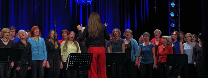 Der Nürnberger Jazzchor wird von Susanne Schönwiese geleitet. Sie ist auch selbst als Solistin aktiv.