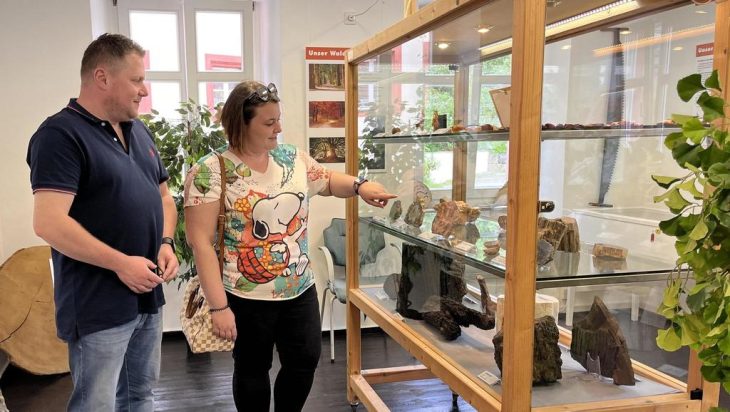 Interessante Exponate und ein kleiner Zukunftswald sind im Heimatmuseum zu sehen.