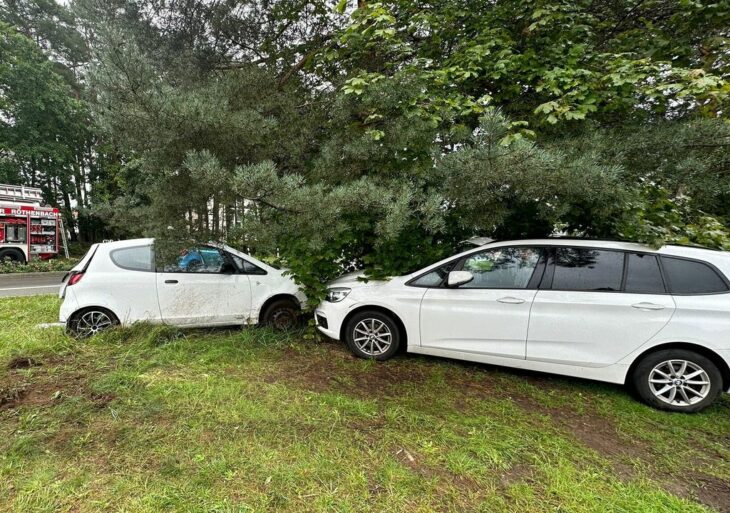 Bei dem Unfall wurde der weiße Pkw (links) auf den Grünstreifen geschleudert.