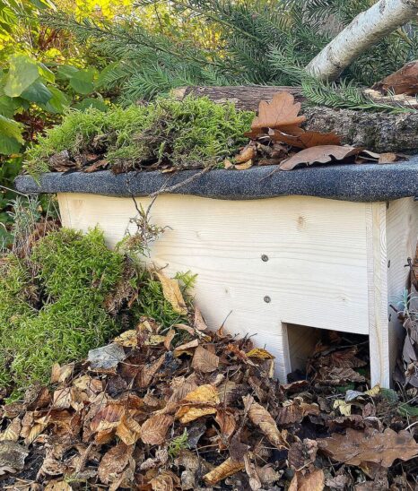 So kann ein selbst gebautes Igelhaus im eigenen Garten aussehen.