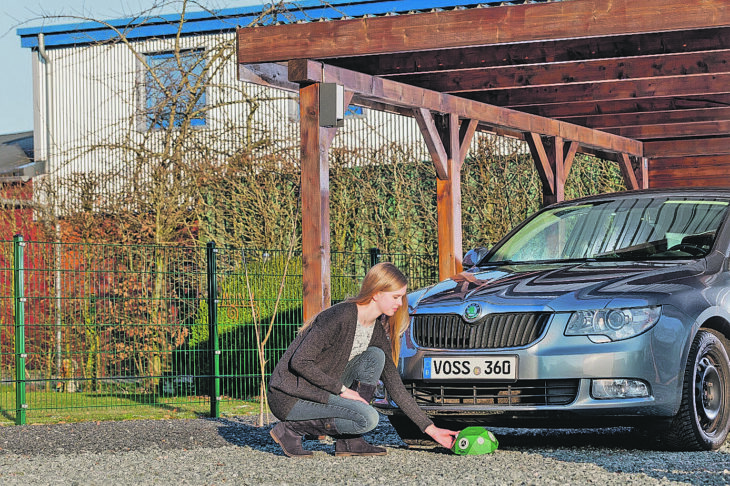 Kostspielige Bissschäden am Auto durch die richtige Vorbeugung verhindern.