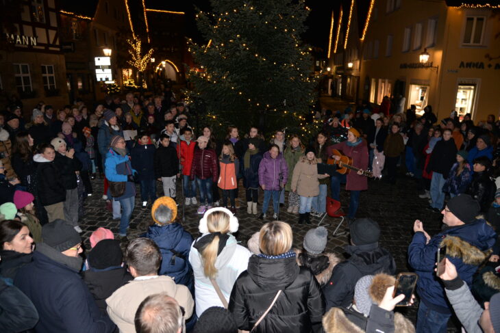 Am dritten Adventssonntag fand auf dem Laufer Marktplatz eine Aktion statt, bei der verschiedene Gruppen Weihnachtslieder sangen.