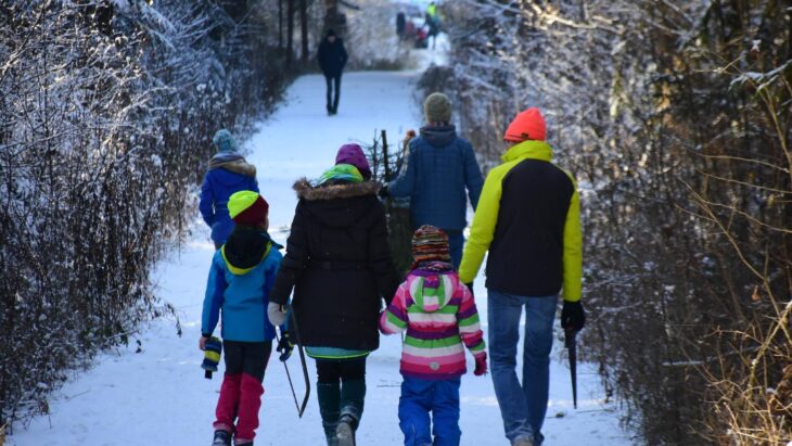 Ein Spaß für die ganze Familie: Nur die Säge muss jeder selbst mitbringen.