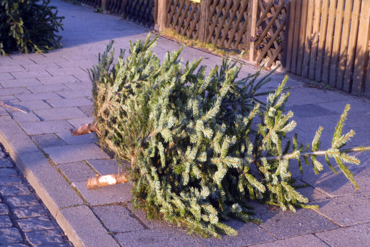 In Altdorf, Feucht, Leinburg und Winkelhaid sammeln Jugendfeuerwehren und CVJM ausrangierte Christbäume ein.