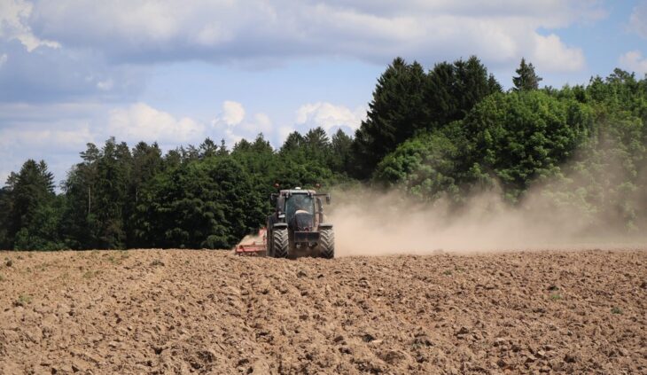 Im Frühjahr war es kalt und nass, aber bis zum Beginn der Sommerferien folgte eine Hitzeperiode. Die Folge war Trockenheit – ein Problem, mit dem die Landwirte schon in den vergangenen Sommern zu kämpfen hatten. Der Ende Juli einsetzende Regen rettete allerdings Teile der Ernte.