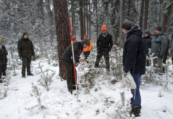 Die Auswertungen aus den vor Ort erhobenen Daten für die jeweilige Hegegemeinschaft werden zentral von der Landesanstalt für Wald und Forstwirtschaft in Freising voraussichtlich bis Juli 2024 erstellt und sind anschließend im Internet auf der Homepage des AELF Roth-Weißenburg einsehbar.