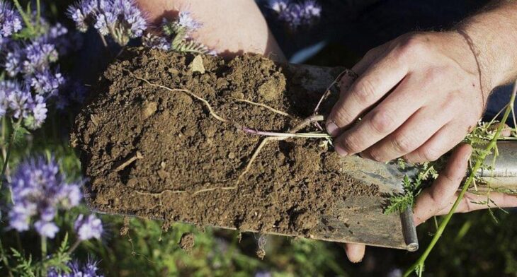 Eine nachhaltige Landwirtschaft kann enorme ökologische Leistungen vollbringen und birgt großes Potenzial für den Erhalt der Biodiversität.