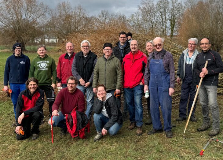 Der Rotary Club Nürnberger Land und der Lions Club Lauf haben zusammen mit Dieter Wölfel, dem Naturschutzbeauftragten des Landkreises, Kopfweiden am Massenbach zurückgeschnitten.