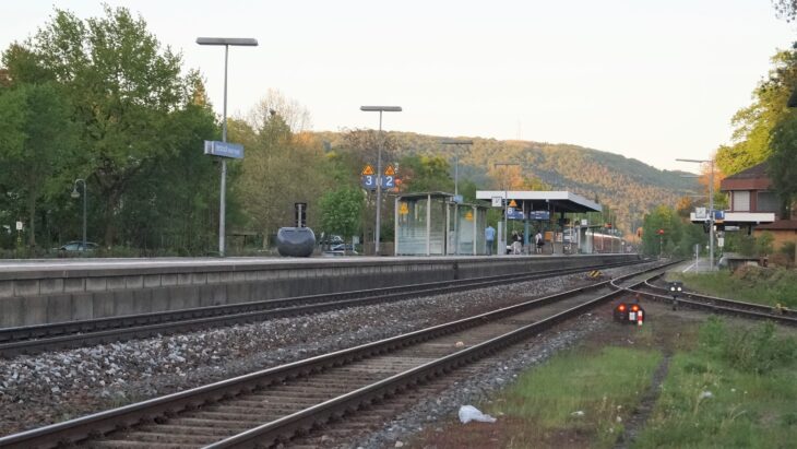 Am Ausbau der Franken-Sachsen-Magistrale – hier der Bahnhof Hersbruck rechts der Pegnitz – hängen die Fernverkehrsverbindungen nach Hof/Leipzig und Prag sowie der S-Bahn-Ausbau ins Schnaittach- und obere Pegnitztal.