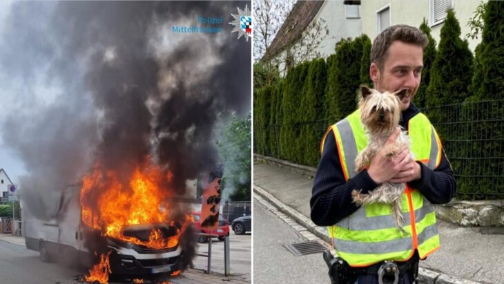 Dieser Polizist rettete einen kleinen Yorkshire Terrier aus einem Auto in Röthenbach bei Lauf, der sich in einem Auto neben einem brennenden Transporter befand.