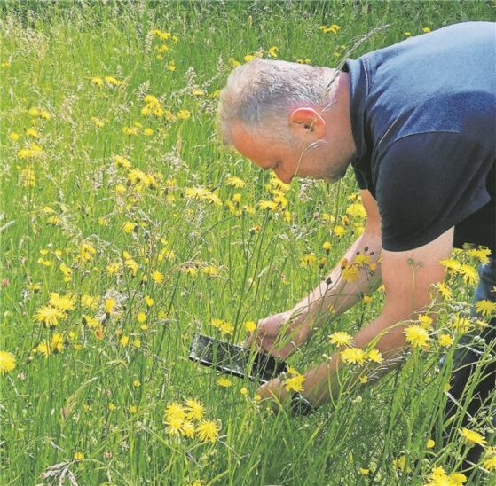 Die FAL-BY-App hilft bei Einstufung der Grünlandbestände.