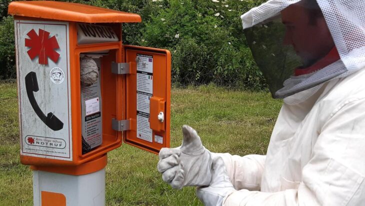 Ein vermeintlich sicheres Zuhause hatten sich Wespen am Parkplatz am Kletterfelsen „Weißenstein“ ausgesucht: Den Innenbereich der dortigen Notrufsäule.