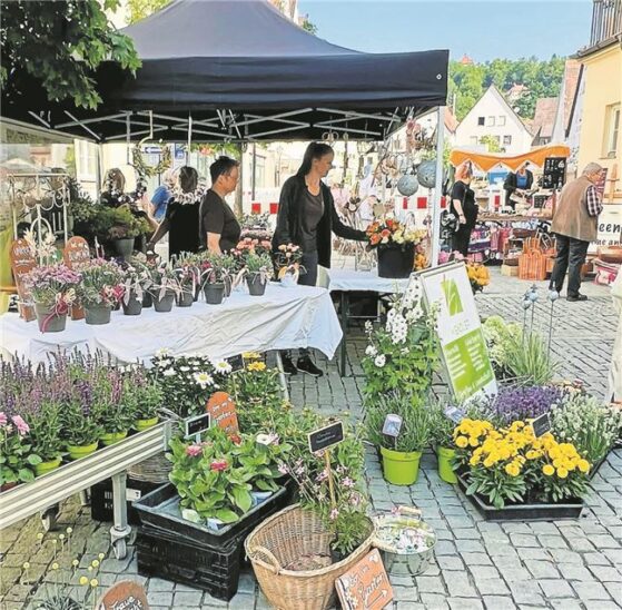 Am 8. Juni lockt wieder der Rosentag nach Hersbruck.