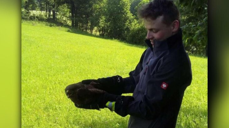 Die Alfelder Feuerwehr befreite einen Mäusebussard, der sich in einer Schnur verfangen hatte.
