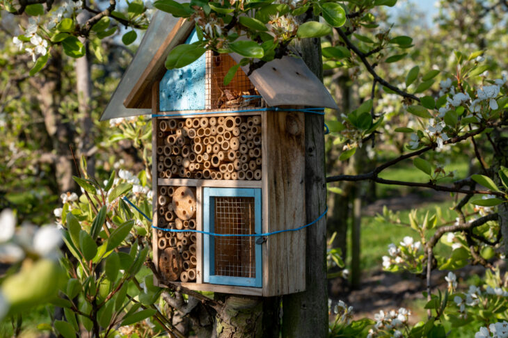 Eines von vielen Angeboten: In Reichenschwand können Kinder Insektenhotels bauen und erneuerbare Energien erforschen.