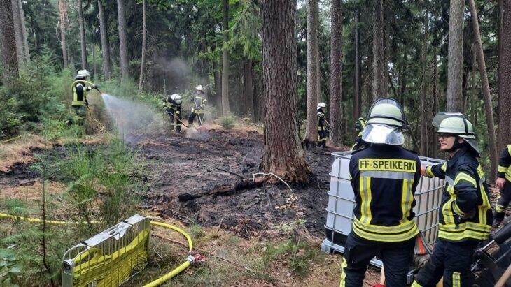 Zehn Feuerwehrleute verschiedener Wehren waren bei einem Waldbrand bei Weißenbach unterhalb des Glatzensteins im Einsatz.