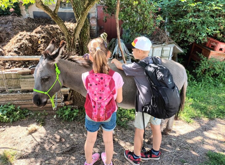 Beim Ferienprogramm des Fränkischen Albvereins konnten die Kinder Esel streicheln.