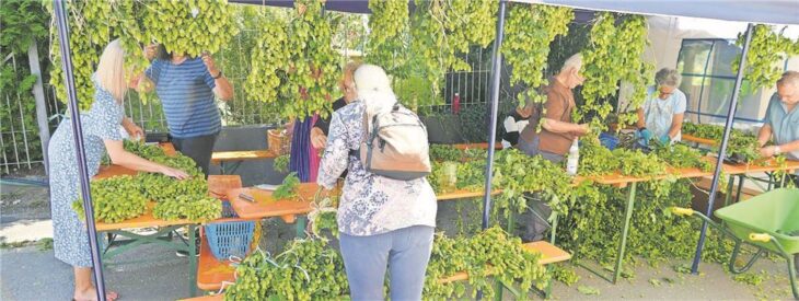 An diesem Stand konnten Interessierte Hopfenkränze und -sträuße erwerben.