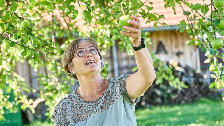 Der Bayerische Freistaat fördert die Anschaffung und fachgerechte Pflanzung eines Obstbaums. Der muss allerdings bestimmten Kriterien entsprechen.