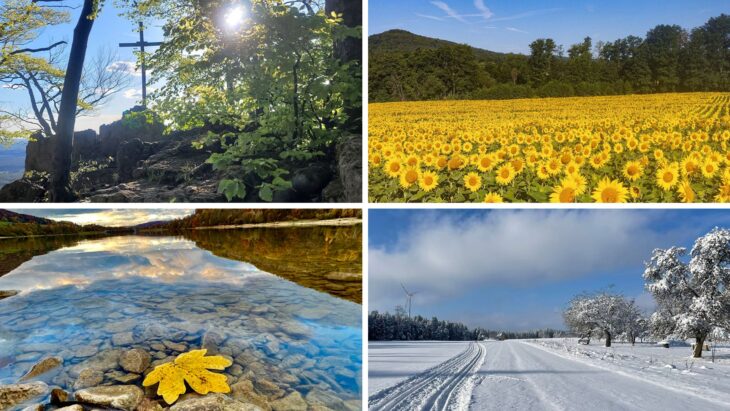 Frühling, Sommer, Herbst oder Winter: Entscheiden Sie mit, welches Titelfoto den HZ-Jahreskalender 2025 schmücken wird.