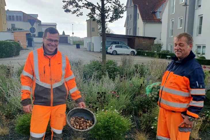 Tulpen, Narzissen, Krokusse und Zierlauch – insgesamt rund 3400 Blumenzwiebeln - haben die Mitarbeiter des Bauhofs der Gemeinde Leinburg in den letzten Tagen an verschiedenen Stellen - wie hier in Diepersdorf - in die Erde gebracht, damit es im Frühjahr bunt und attraktiv blüht.