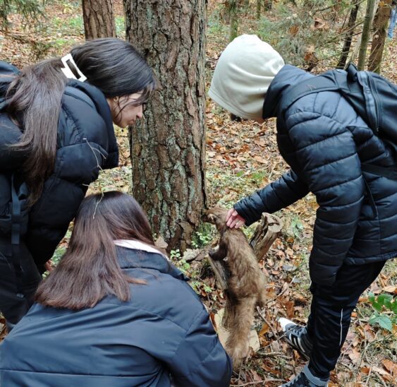 Beim Waldtag der Kunigundenmittelschule konnten die Schüler auch einen Baummarder aus der Nähe betrachten – allerdings einen ausgestopften.