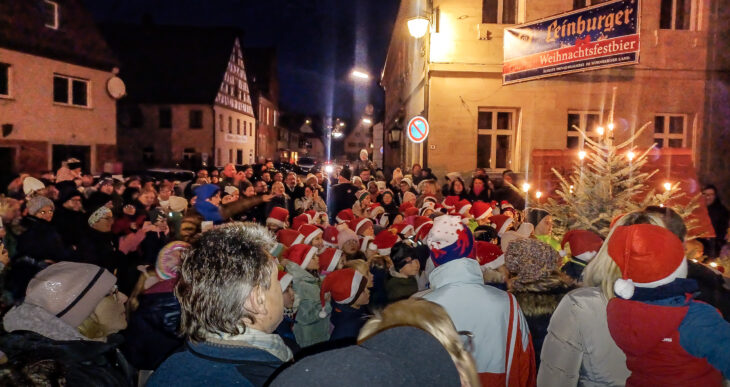 Viele Besucher wollten sich den ersten Weihnachtsmarkt in Leinburg nicht entgehen lassen.