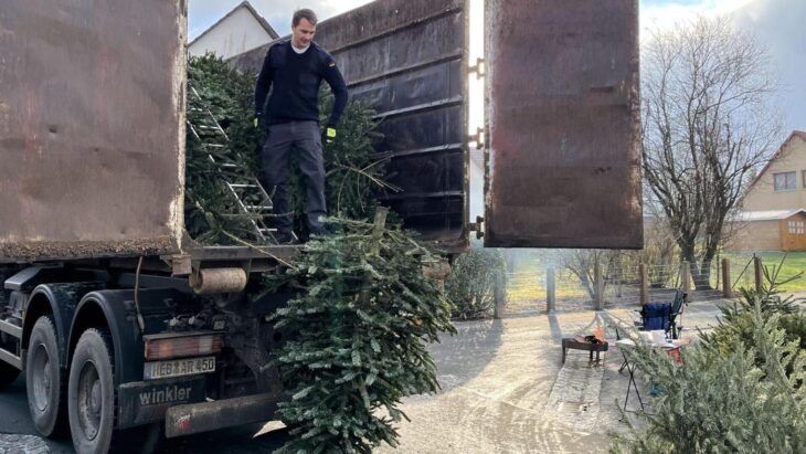Insgesamt sieben Fahrzeuge waren unterwegs und transportierten die ausgedienten Weihnachtsbäume.