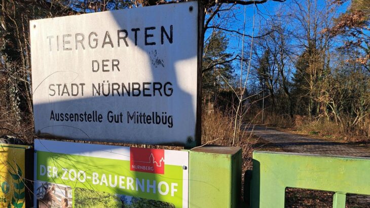 Die drei Störche waren zuletzt auf Gut Mittelbüg in Schwaig untergebracht.