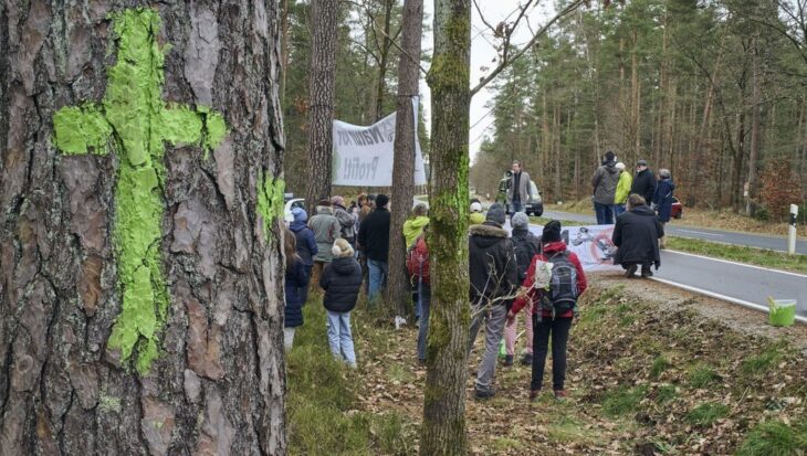 Grün steht in der Forstwelt für „Baumerhalt“, mit den Kreuzen protestieren die Naturschützer gegen die geplante Fällung der Bäume für den Sandabbau.